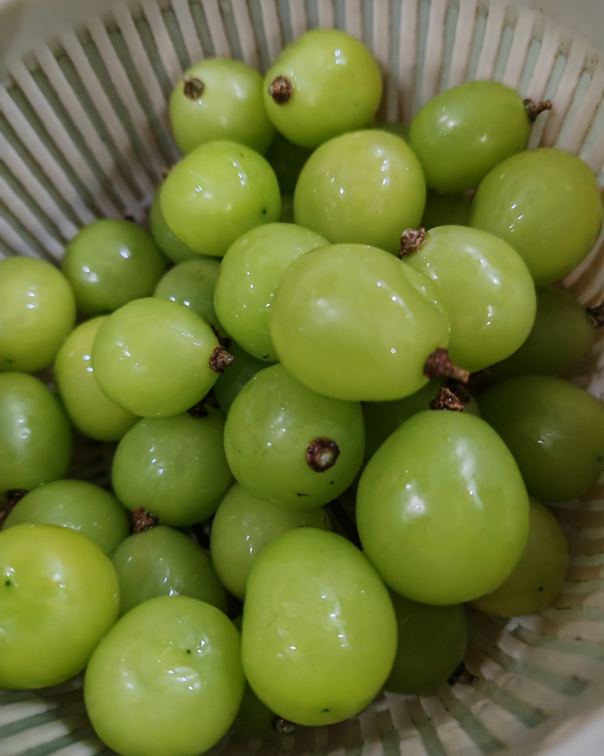 最近我们家的餐后水果都是阳光玫瑰了，夏天水果真的超级超级的多