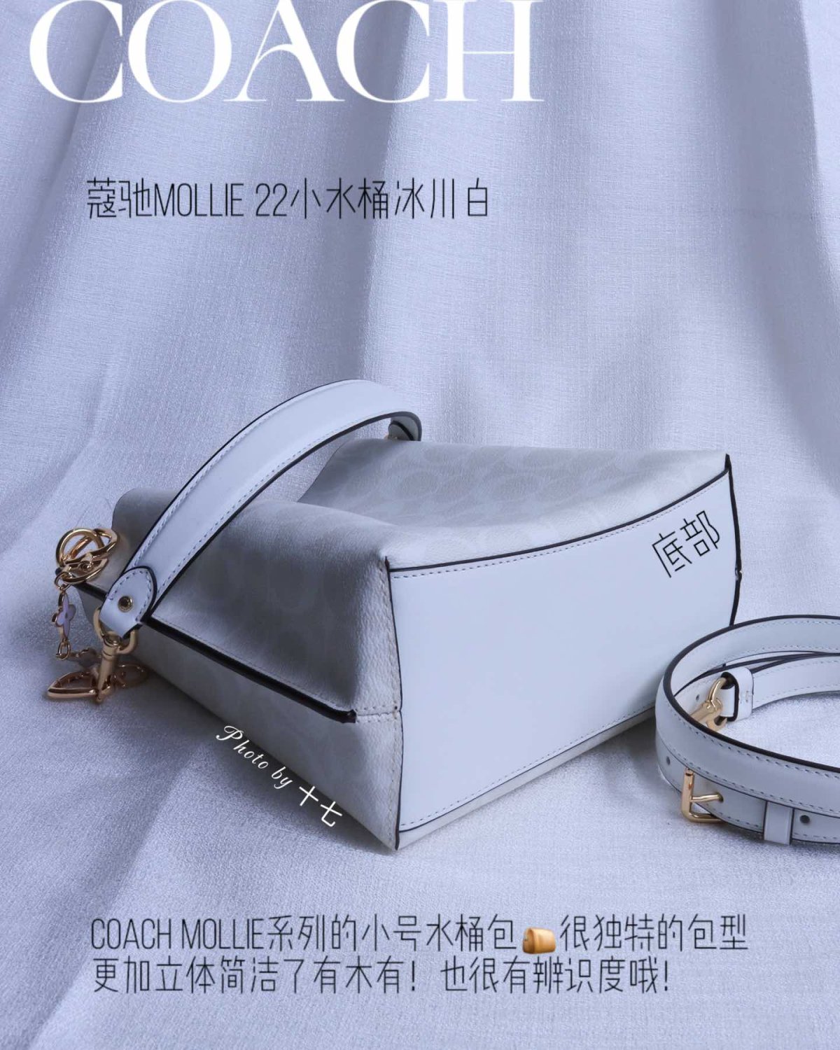 蔻驰茉莉小水桶，两侧勾线设计，包型更加秀美❗️延续了老款的三