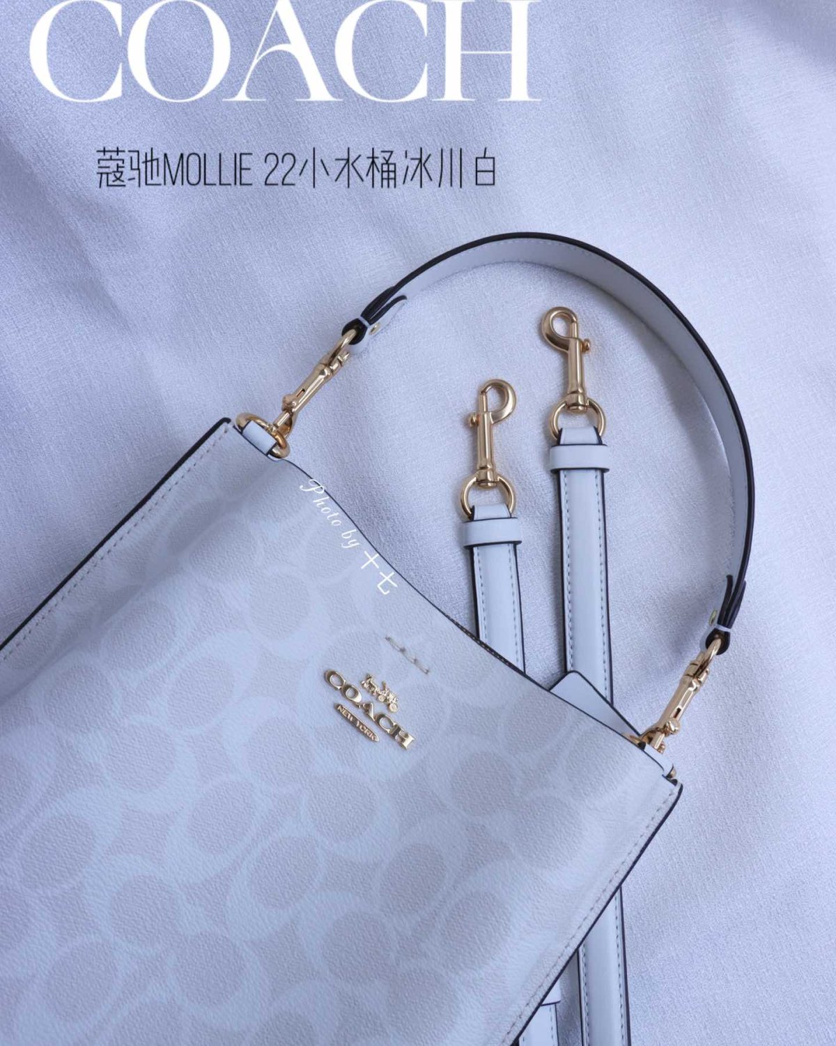 蔻驰茉莉小水桶，两侧勾线设计，包型更加秀美❗️延续了老款的三