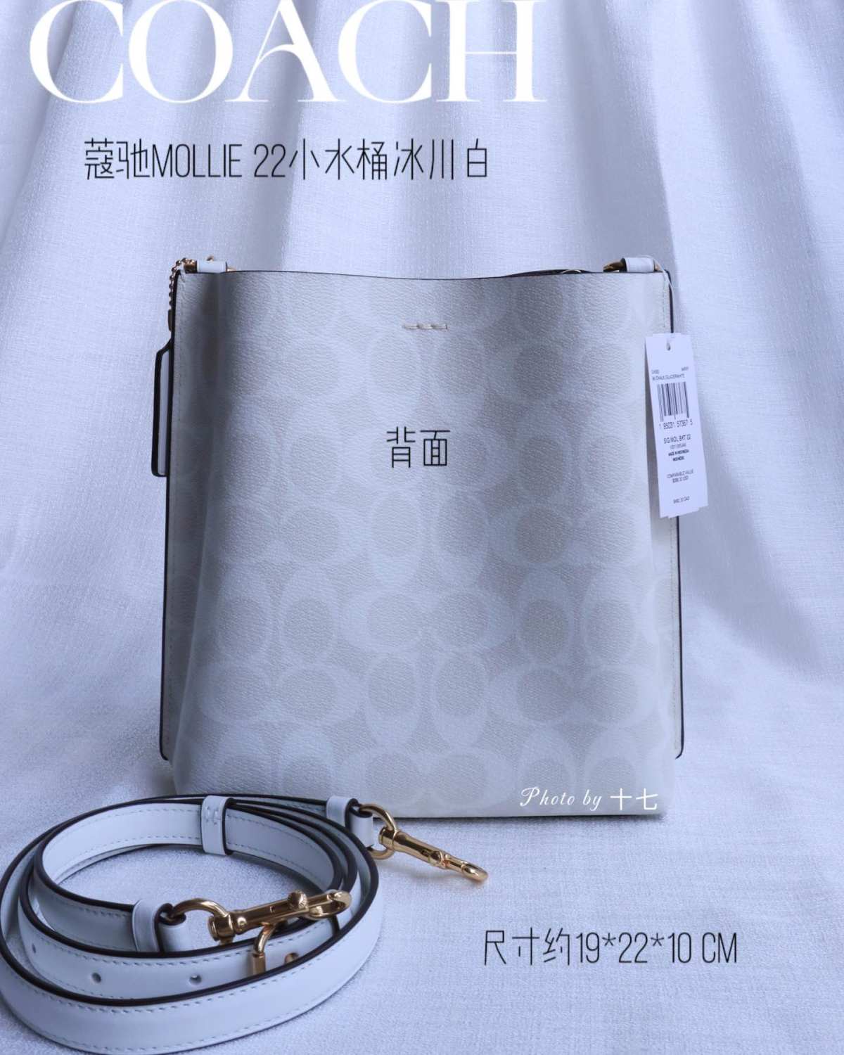 蔻驰茉莉小水桶，两侧勾线设计，包型更加秀美❗️延续了老款的三