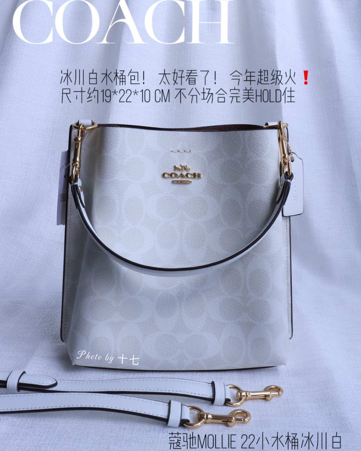 蔻驰茉莉小水桶，两侧勾线设计，包型更加秀美❗️延续了老款的三