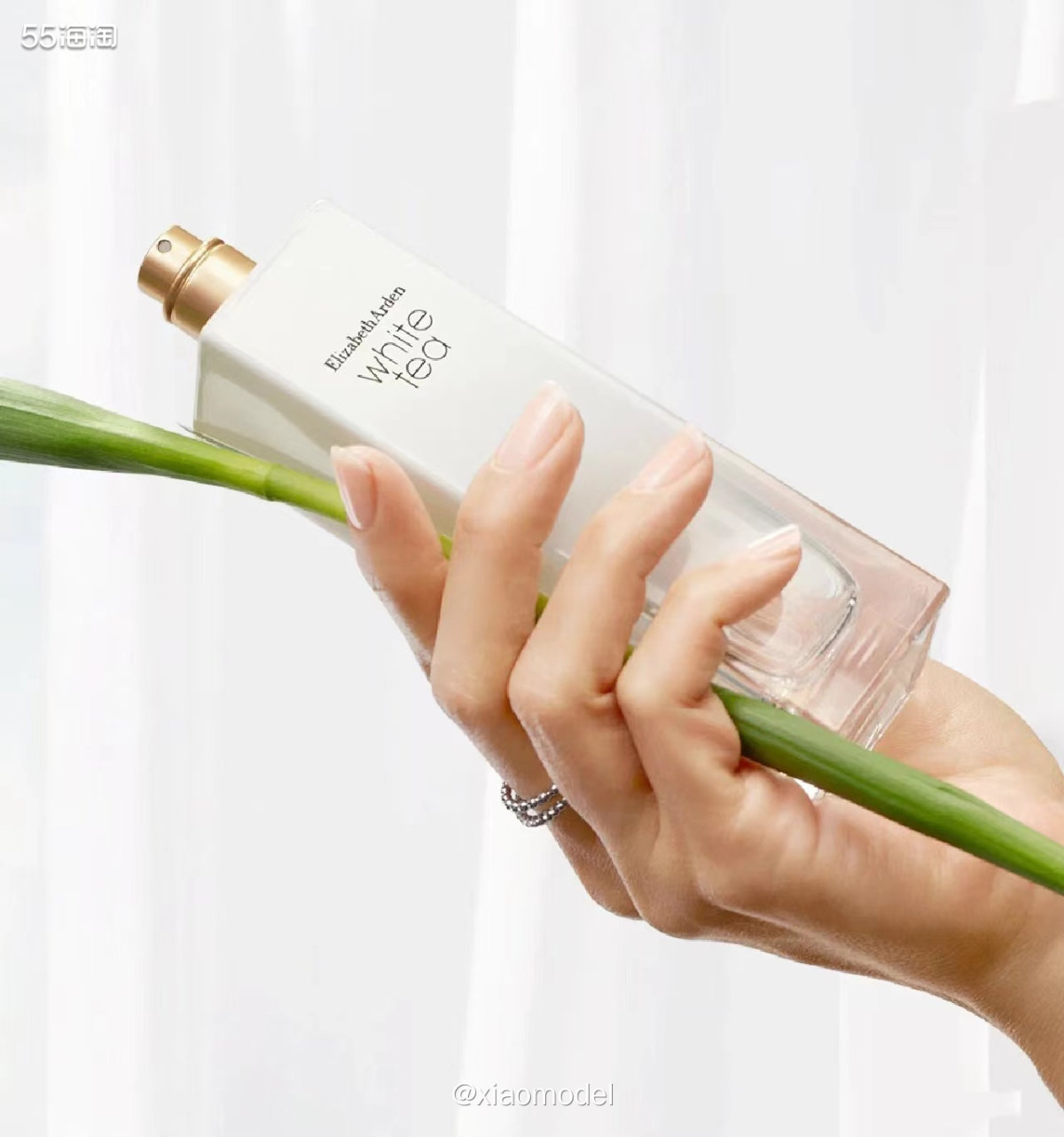 ❤️昨天分享了雅顿绿茶香水，有人询问白茶香水，那这篇就来看看