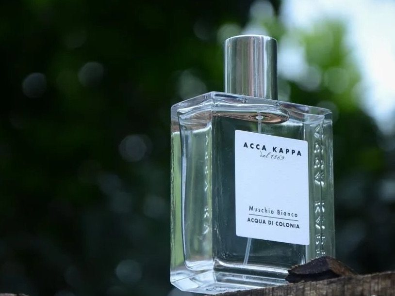 小众停产香来FragranceNet中文网还是比较容易找到的