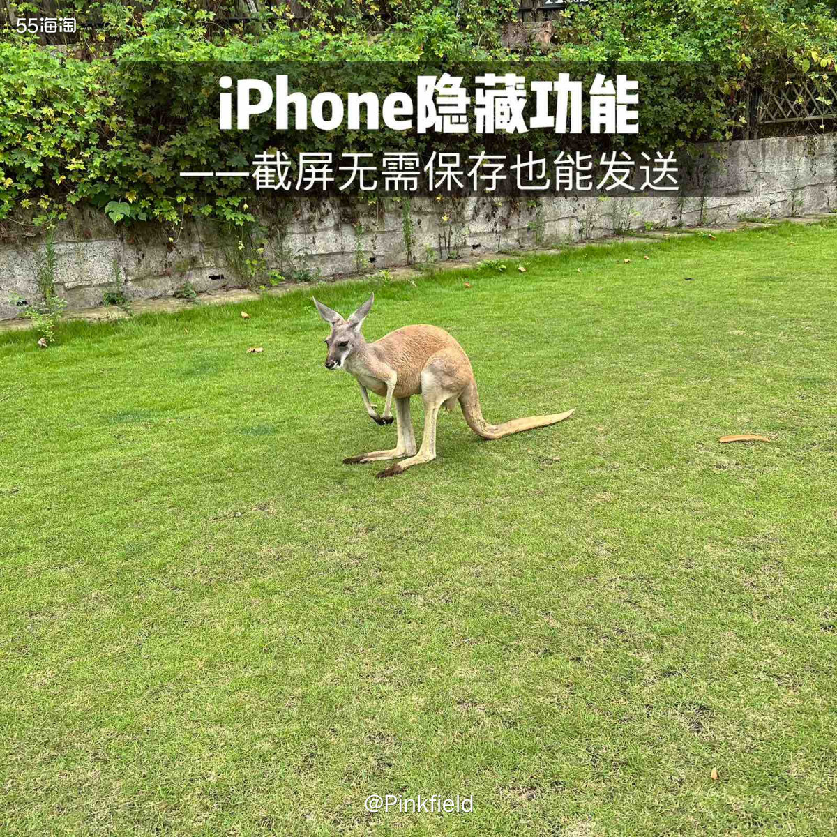 📱有没有人跟我一样，总是不厌其烦的在跟小伙伴分享完保存的截