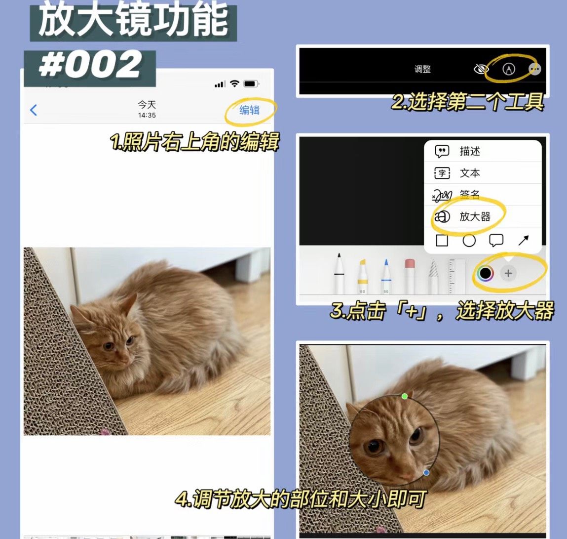 我们每天都在用iPhone记录生活、工作，但是它的很多功能大