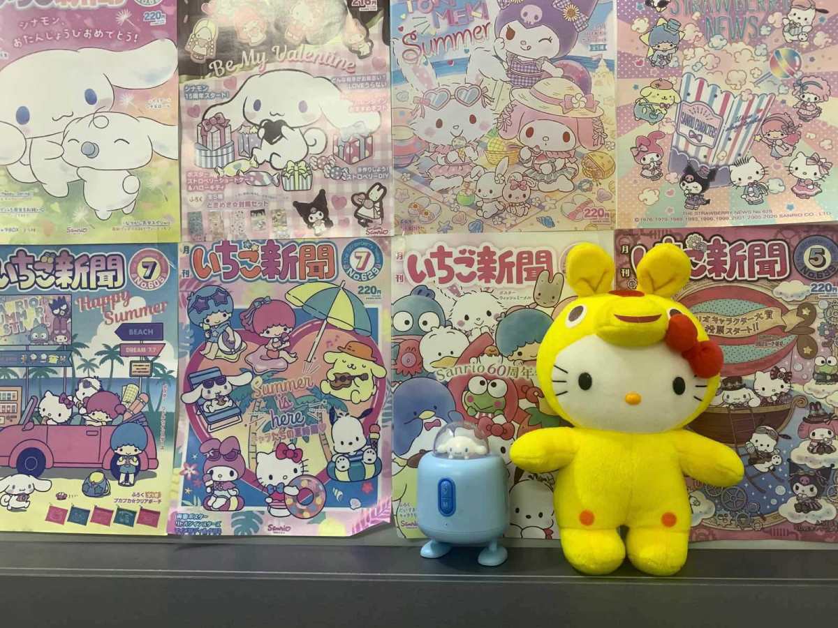 这是第二次海淘kitty中古 成色很好很惊喜 每个都很喜欢 