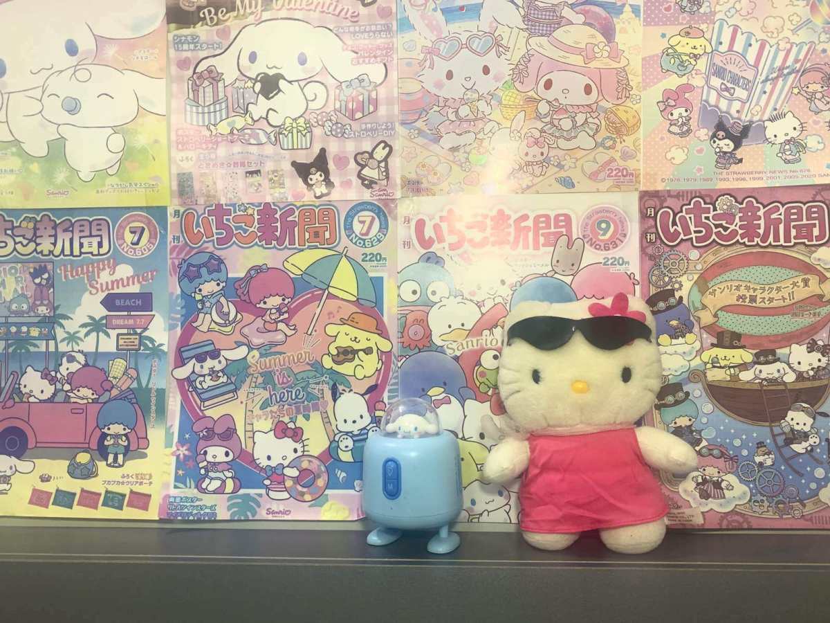 这是第二次海淘kitty中古 成色很好很惊喜 每个都很喜欢 