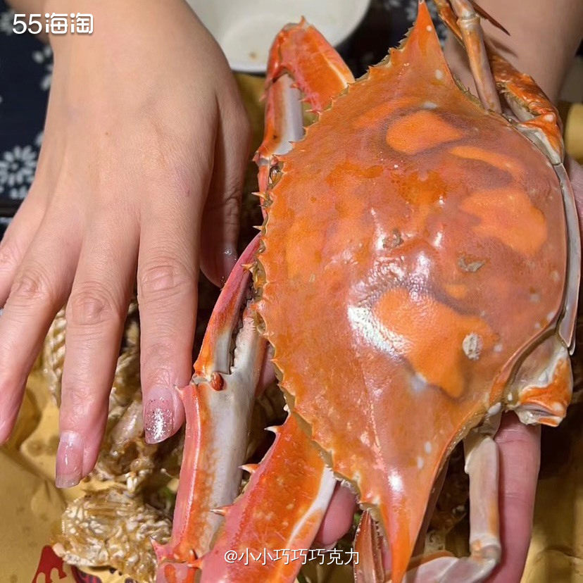 我可太喜欢海边啦，可以看海赶海，还有好吃的海鲜哦，重点是价格