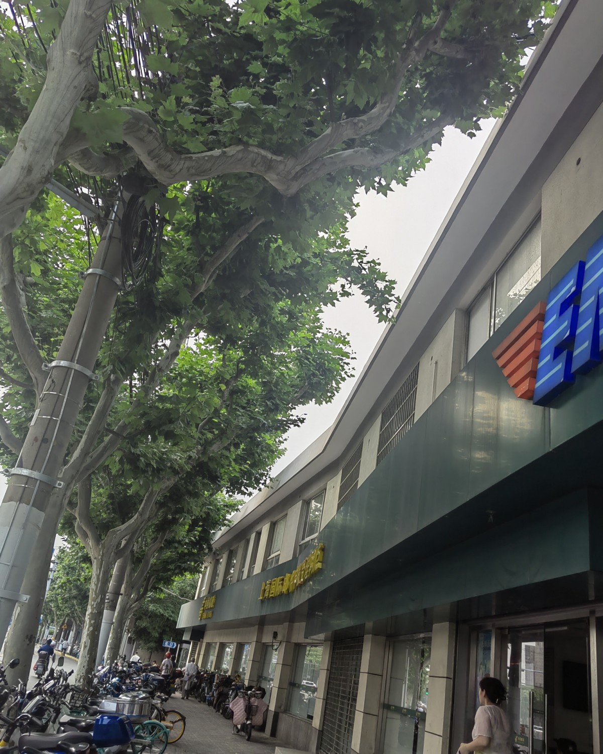 大家好~我是甜崽~ 上回给大家分享了我用过的转运之后，说好了