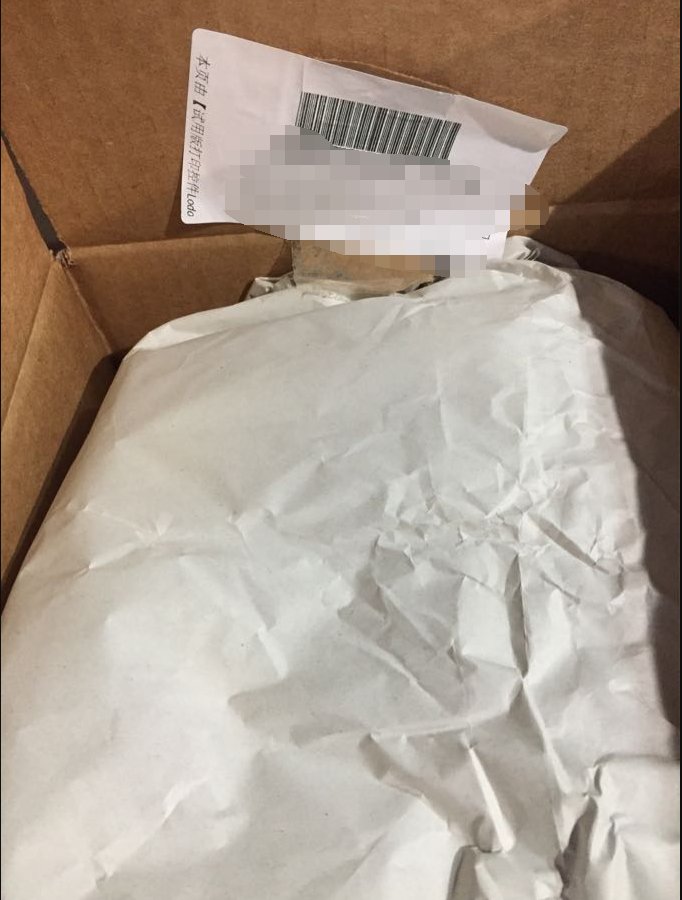 可可爱爱的毛孩子应该没有人不喜欢吧 呆萌的可爱的、丑萌的各有