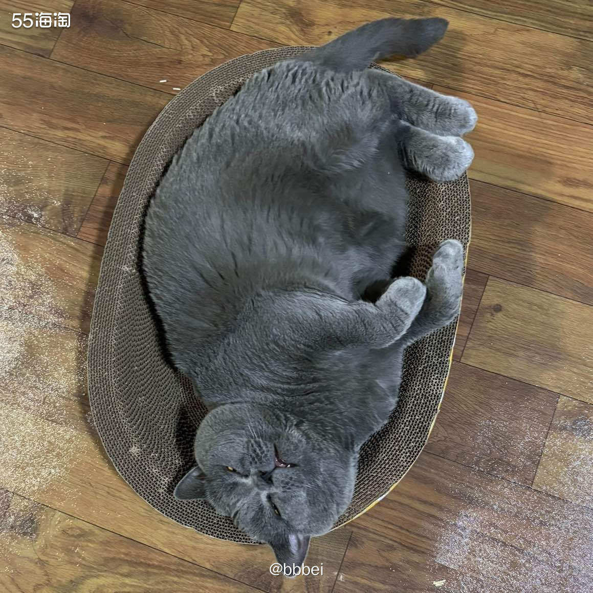 🌈🌈** 🌸给我的猪咪买的是金素猫粮，感觉还可以～价格