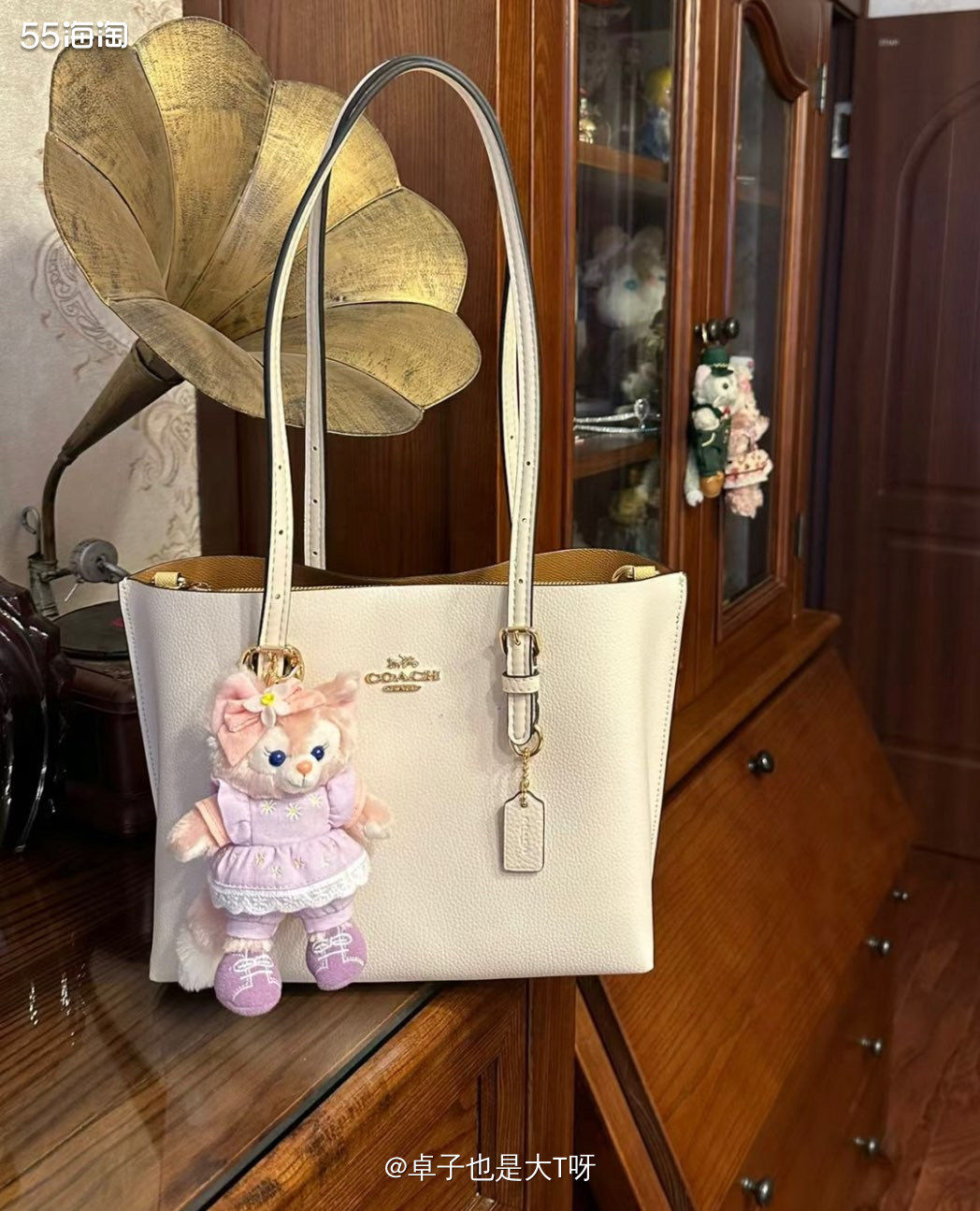 下单网站：美网coach奥莱 下单商品： tote22白色 