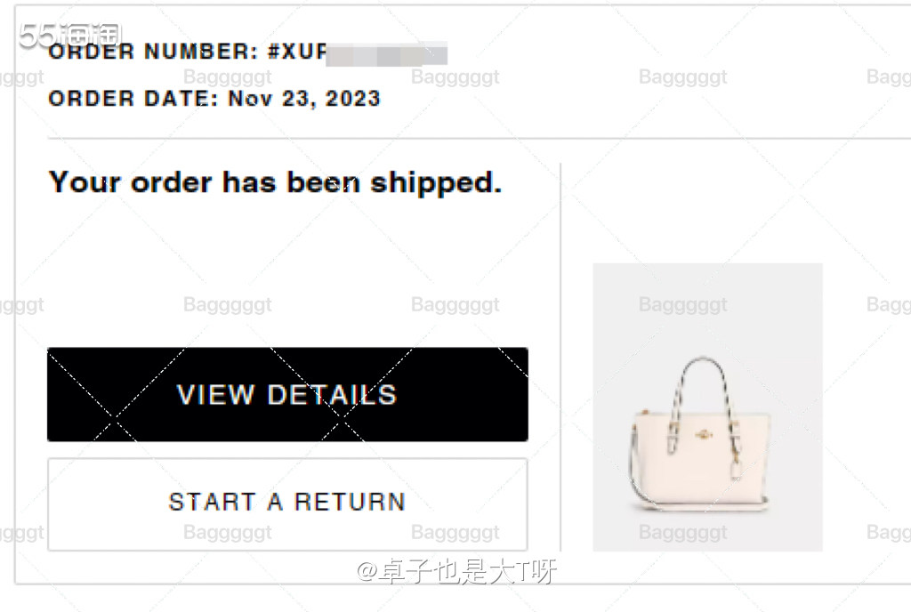 下单网站：美网coach奥莱 下单商品： tote22白色 