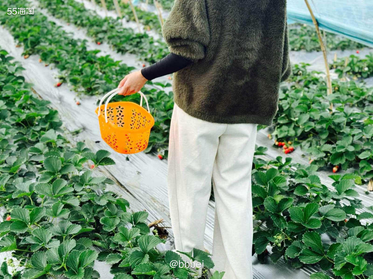 🌈🌈今天去草莓采摘园摘草莓了！！可以边吃边玩，草莓是25