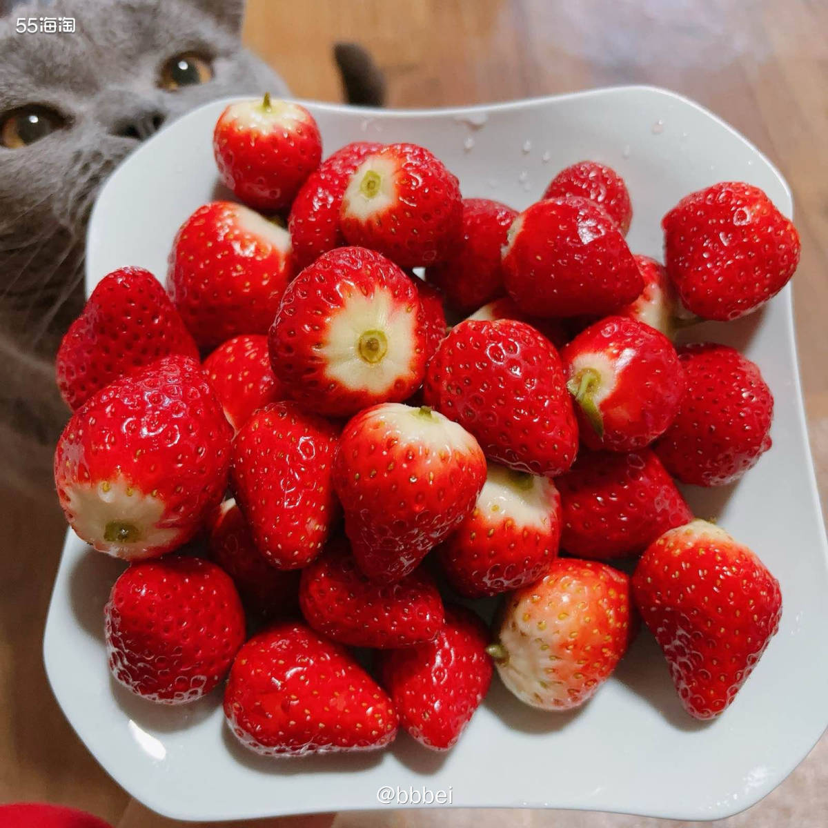 🌈🌈今天去草莓采摘园摘草莓了！！可以边吃边玩，草莓是25