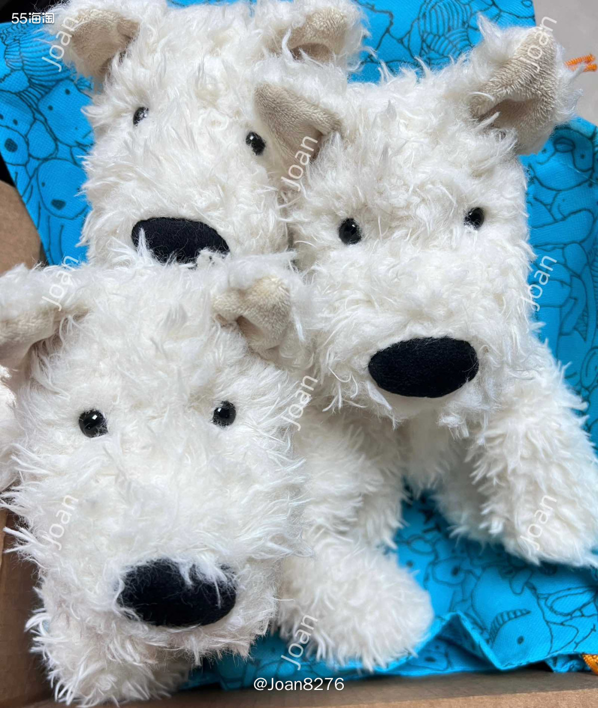 一样是周末收到的一箱 Jellycat的小可爱，里面其实就3