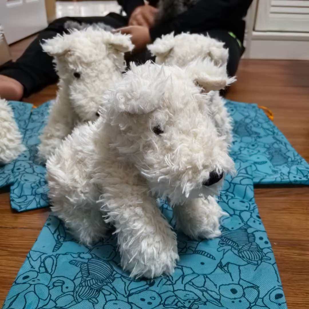 ☑开箱： jellycat 西高地  ☑下单地/价格 官网买