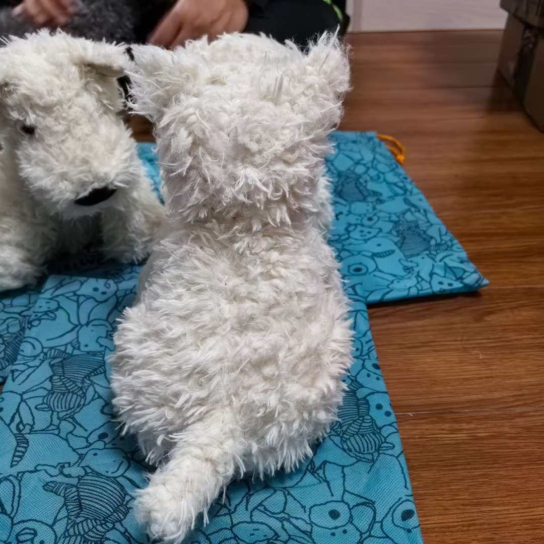 ☑开箱： jellycat 西高地  ☑下单地/价格 官网买