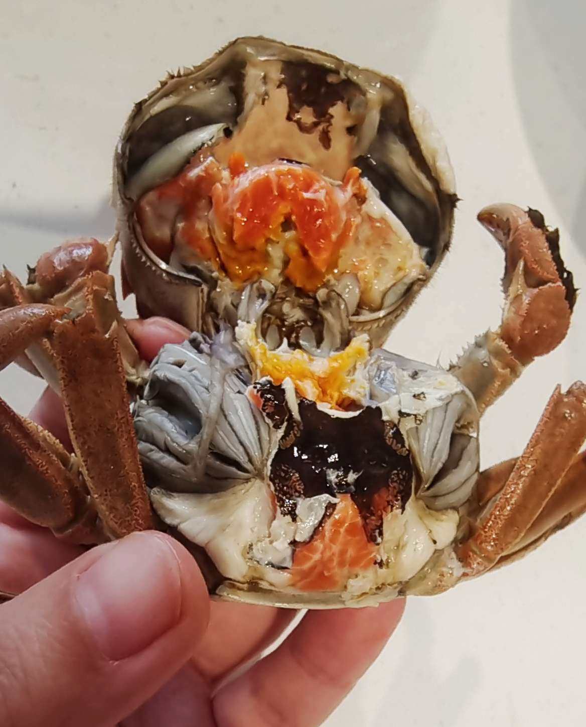 女儿是爸爸上辈子的小情人说的真没错，这不，一句想吃大闸蟹了，