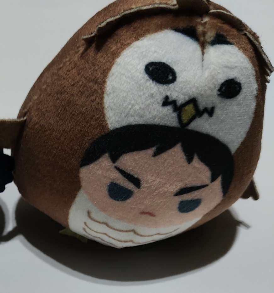 乐一番转运的第七单，总体感觉还不错。 这一次选择了蜂鸟路线，