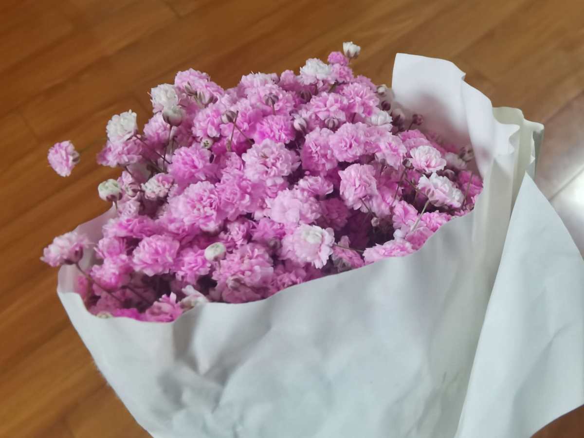 🌸世上美食不可辜负，一顿火锅，一杯奶茶，一块披萨，都能让人