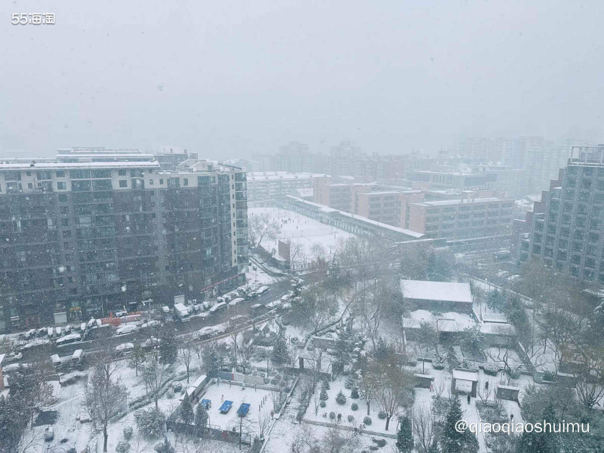 昨天夜里接到通知，今天暴雪，学生停课……于是，我被迫请假一天