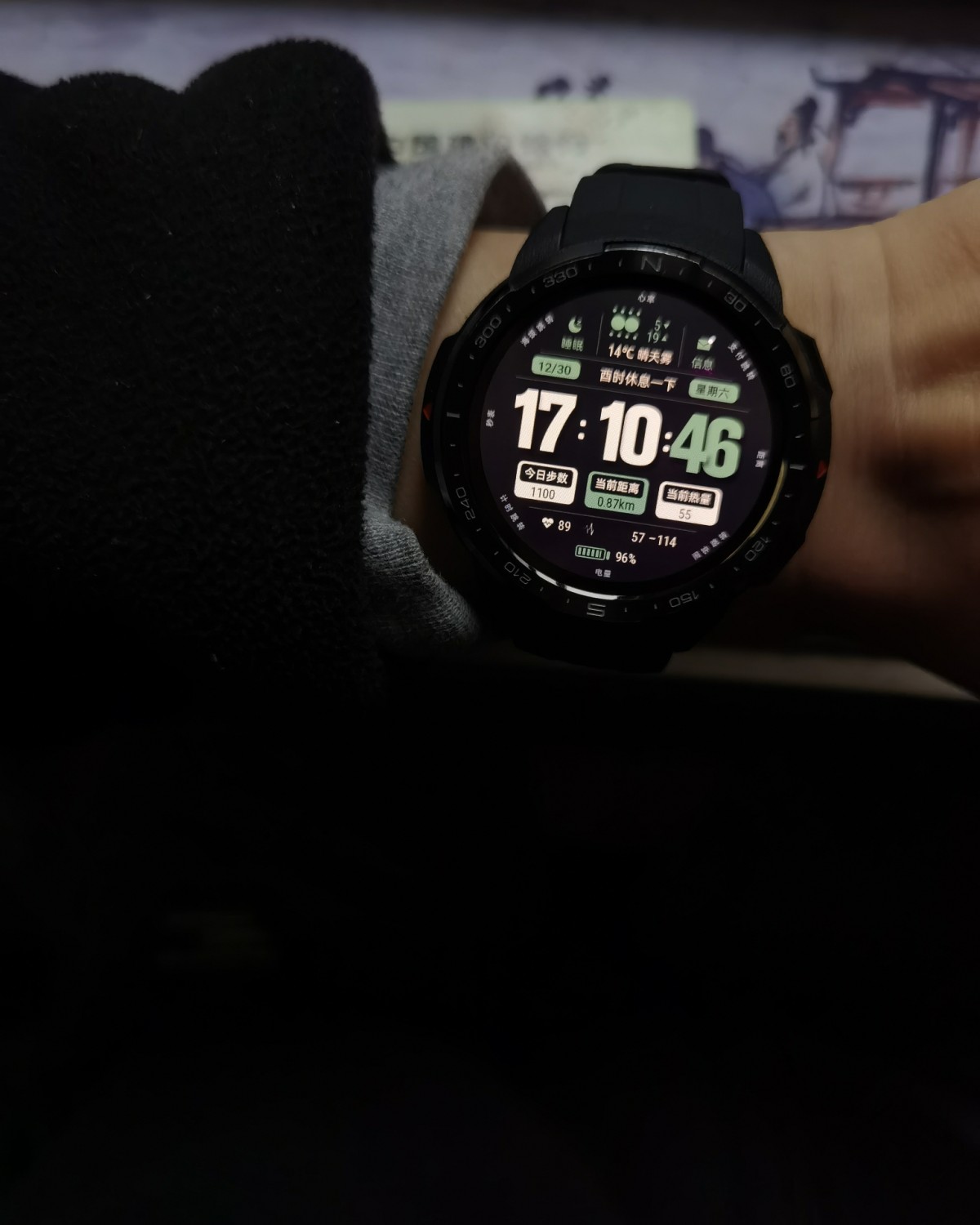 黑5看到有活动，买了个garmin 255s音乐版，准备进献