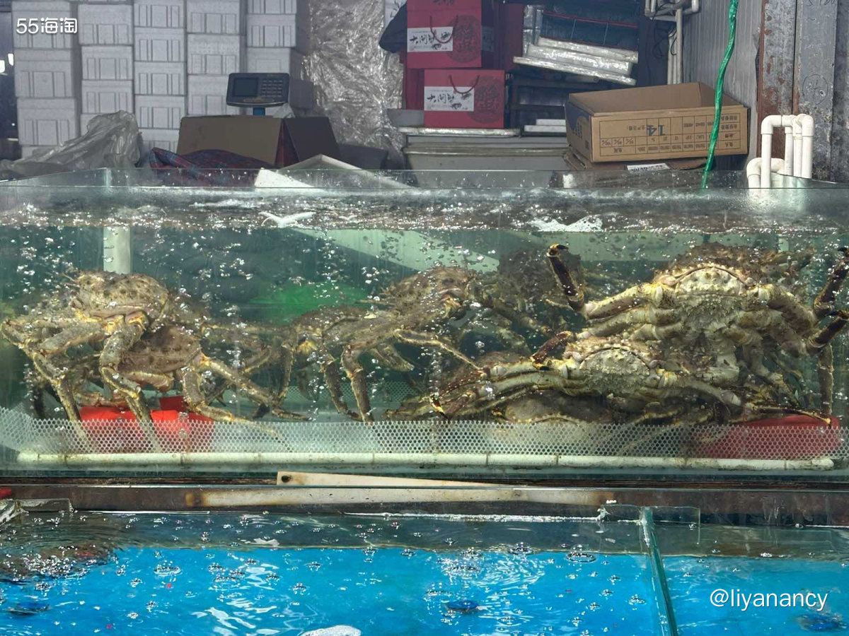 🦐跨年的时候去了海鲜市场买海味，感觉海鲜市场一大特点就是温