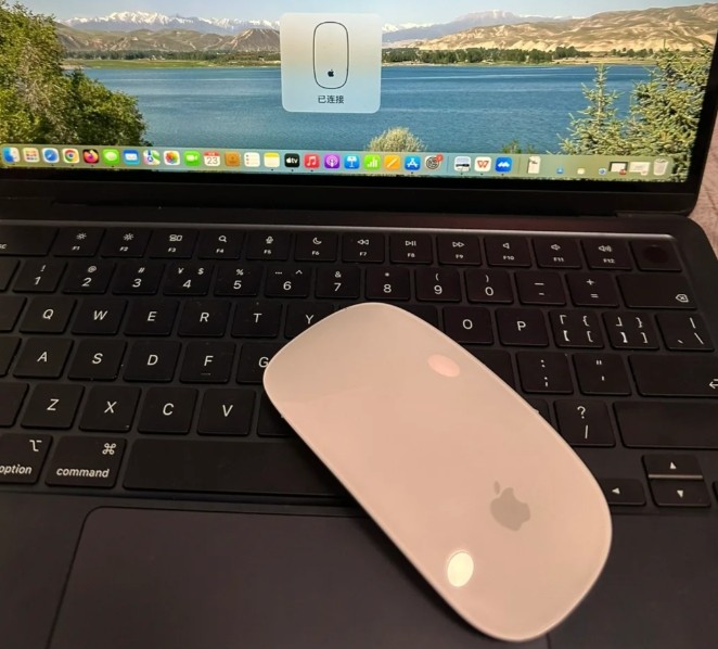 买了macbook后，感觉用什么鼠标都不顺手，不是很适配。狠