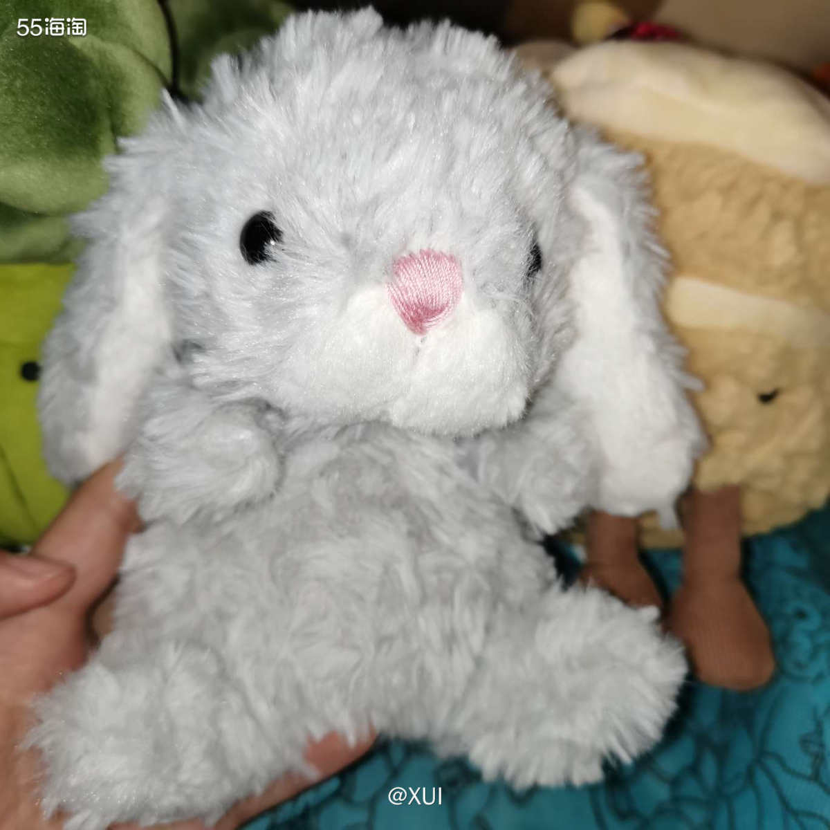 这一箱是上个月半夜购买的Jellycat，那时候国内西兰花的