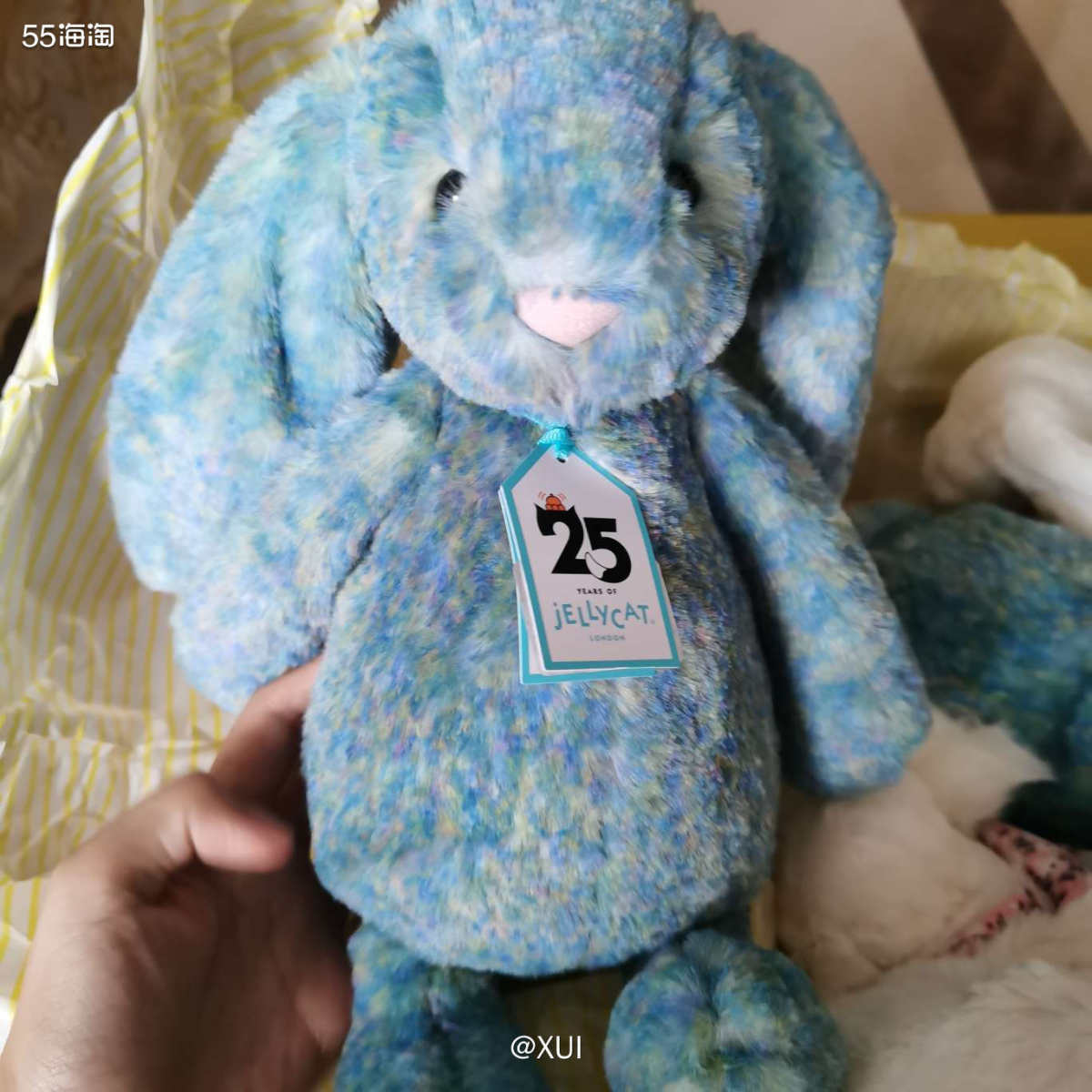 2024第一个月Jellycat就放出了大招，上新了一大堆新