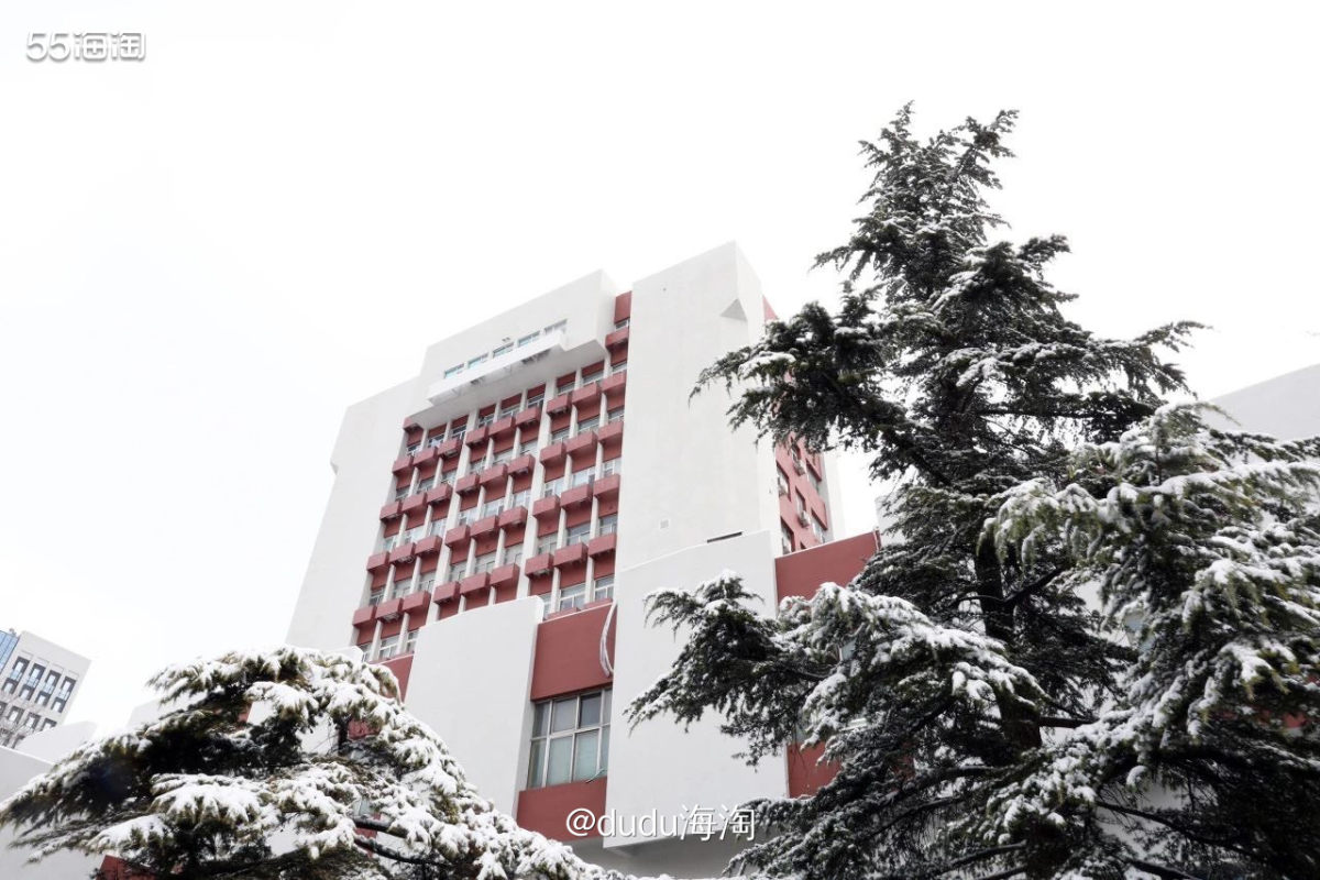 💓2023年的冬天真的好美！北京一夜大雪，第二天早起，真的
