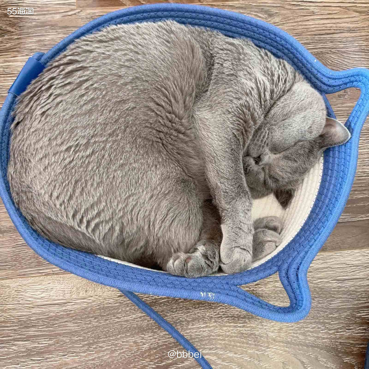 🌸地标在云南。 🌸冬季的云南下雪的几率不是很大，我在云南