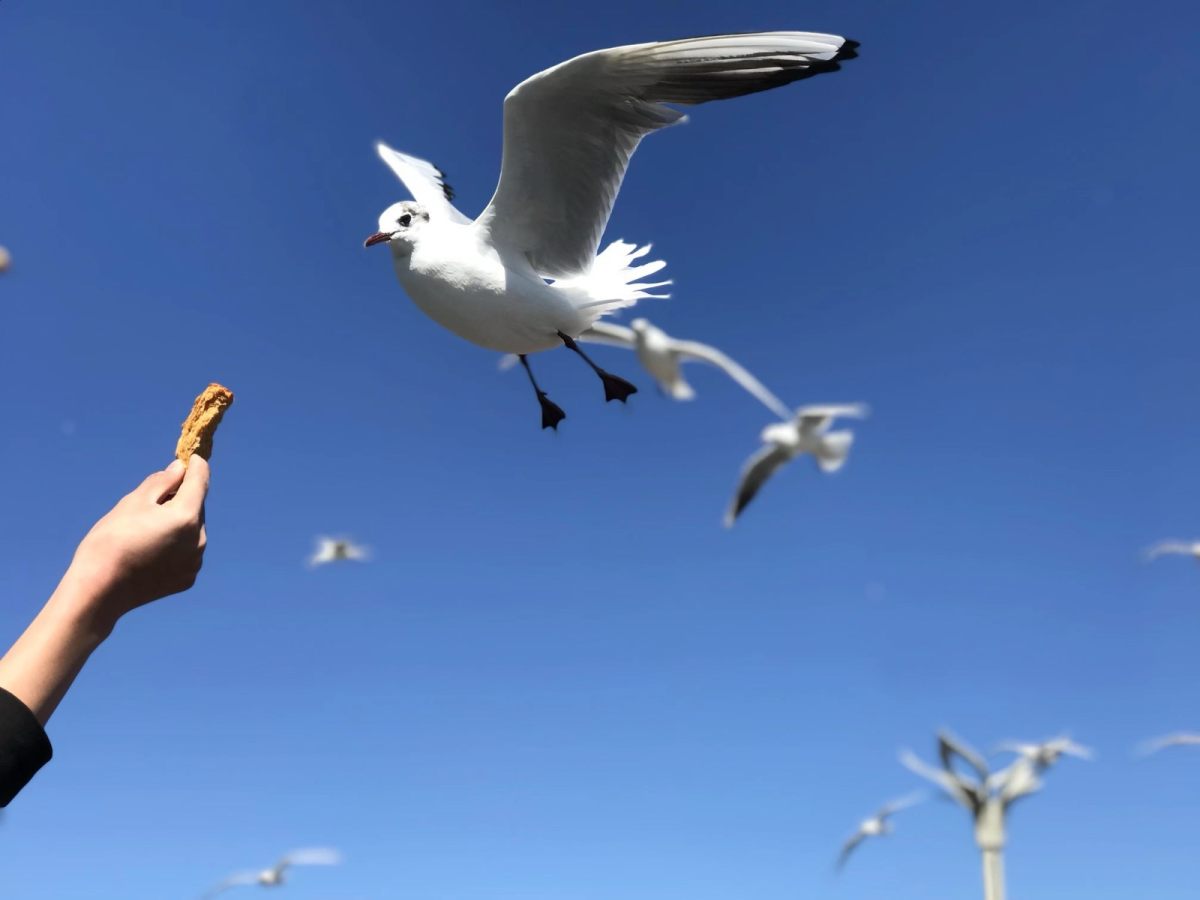 大概因为我生日是冬天，对冬天总有喜爱在里面的，总是不爱夏日的