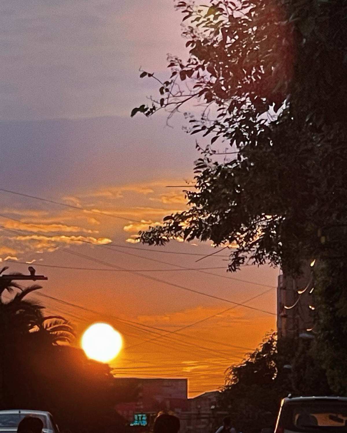 大概因为我生日是冬天，对冬天总有喜爱在里面的，总是不爱夏日的