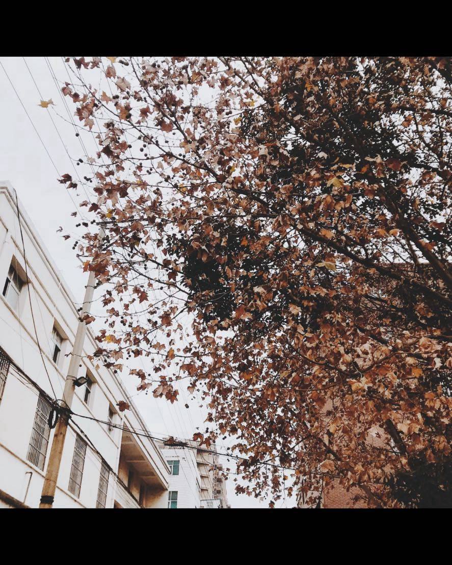 大概因为我生日是冬天，对冬天总有喜爱在里面的，总是不爱夏日的