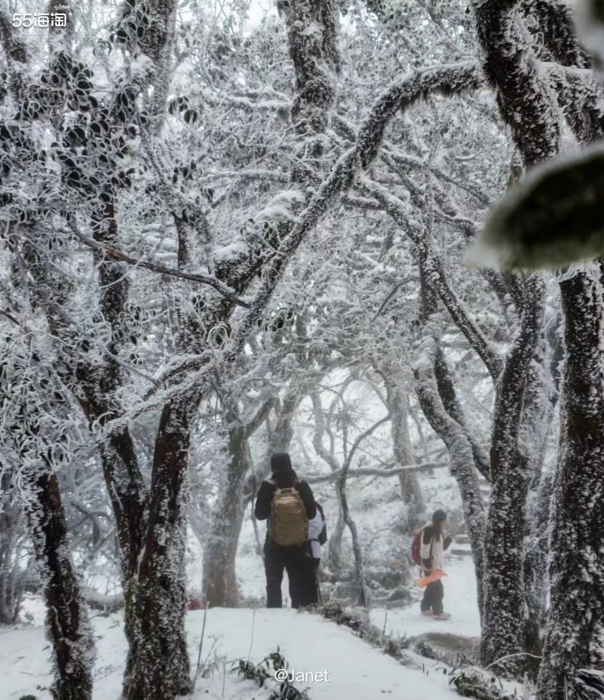 其实在南方一些海拔高的地方也可以看到雪，现在城里的温度在几度