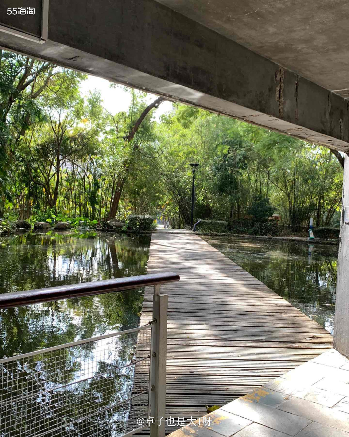 这是上周天气很舒服的时候出去逛公园，其实也没有特地想去哪里，