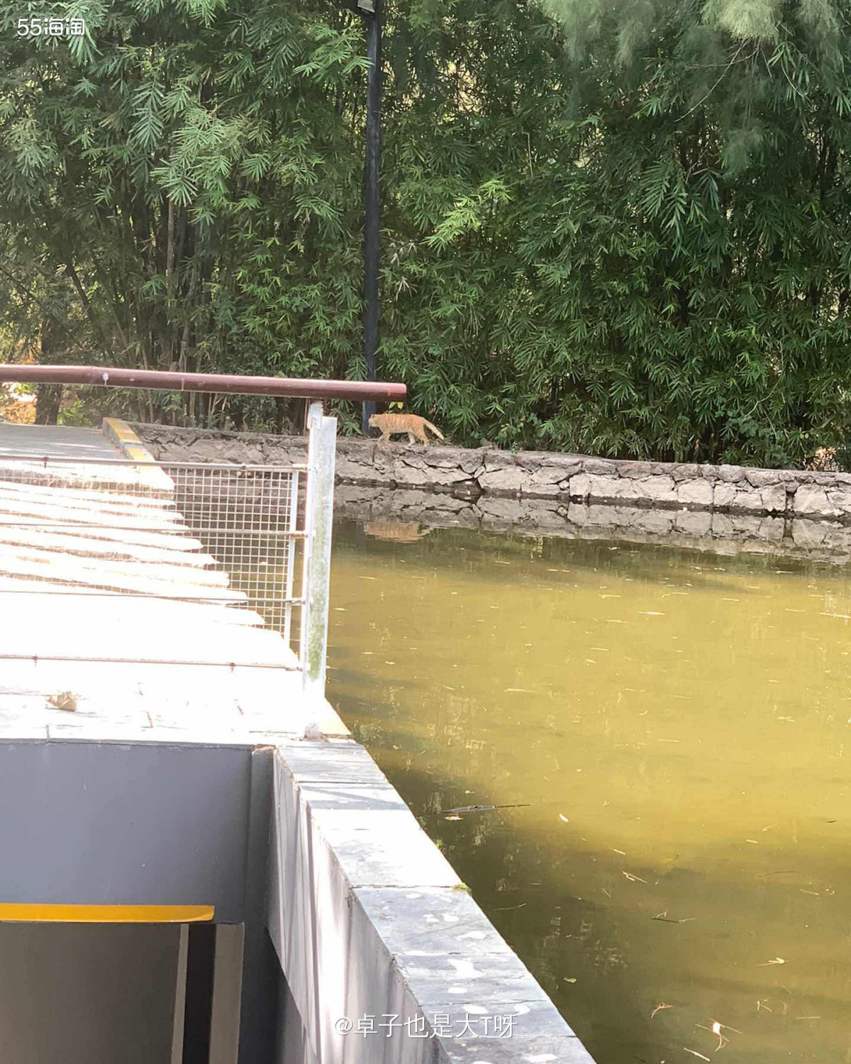 这是上周天气很舒服的时候出去逛公园，其实也没有特地想去哪里，