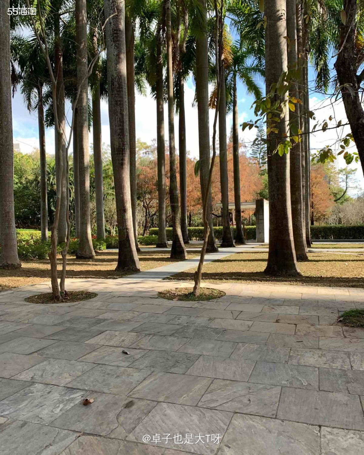 这是上周天气很舒服的时候出去逛公园，其实也没有特地想去哪里，