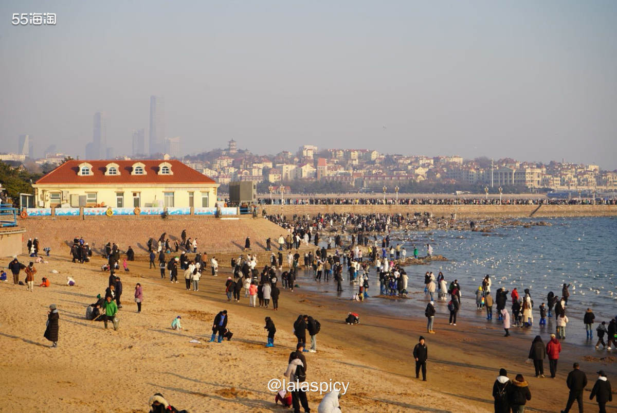 嘻嘻~ 今天带大家看看青岛的风景和海鸥。 每年冬季从西伯利亚
