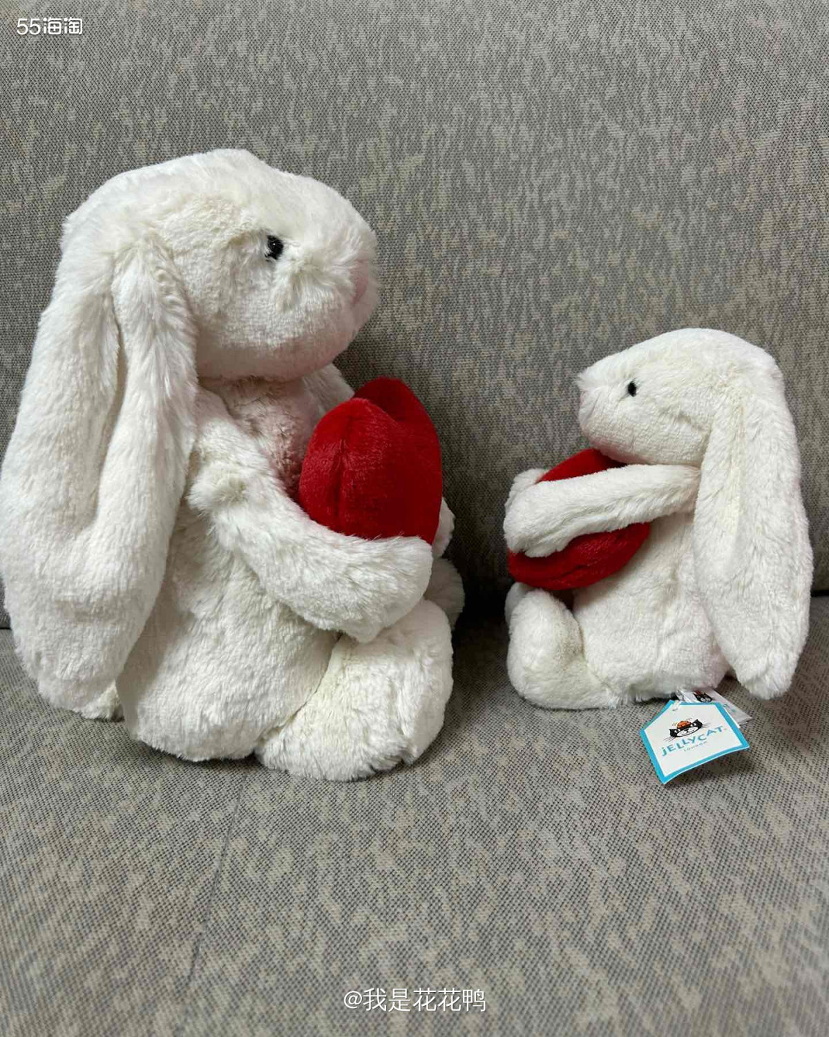 ✅购买网站:Nordstrom   ✅购买产品:jellyc