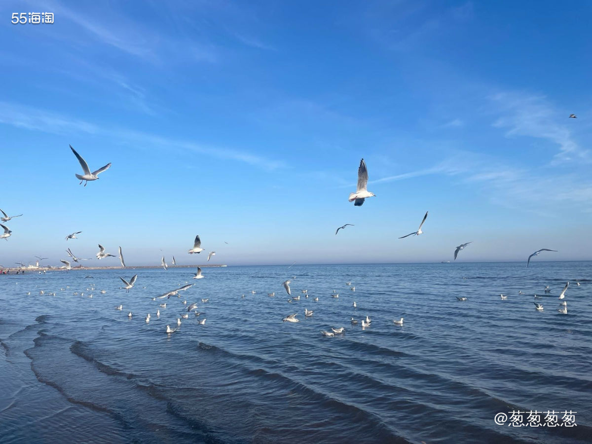 因为河北离天津不远，所以每年过年都会去秦皇岛玩，开车大概3个