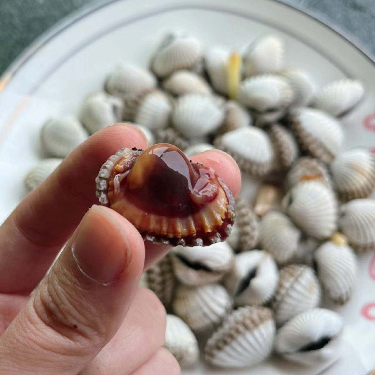 🧨这个是浙C过年家家户户必备的一道美食—血蛤，因为外表雪白