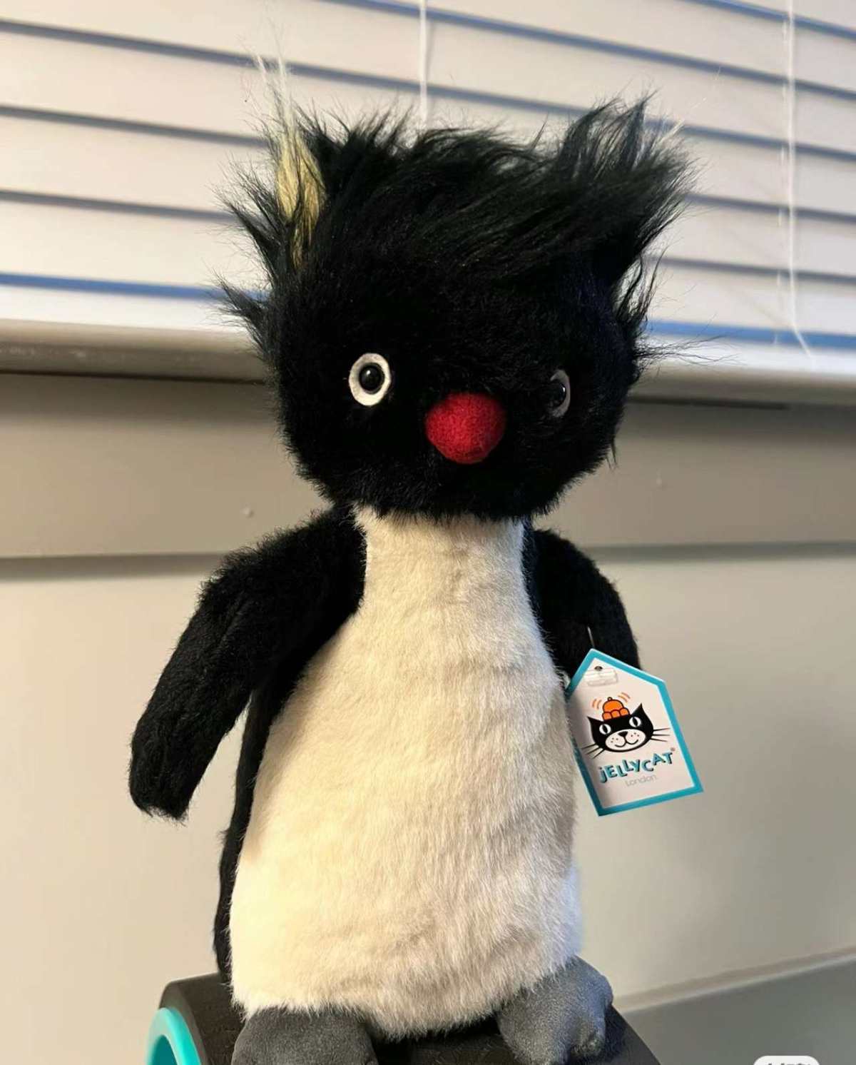 ✅下单网站：jellycat美国官网  ✅价格：25美元  