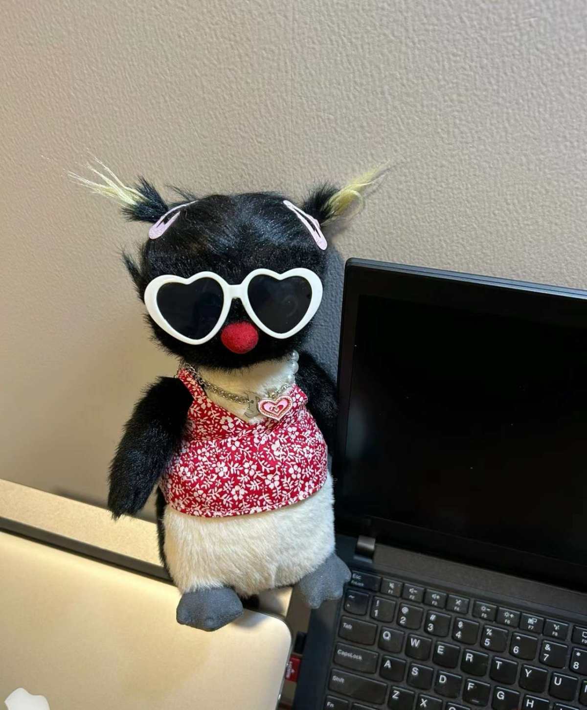 ✅下单网站：jellycat美国官网  ✅价格：25美元  