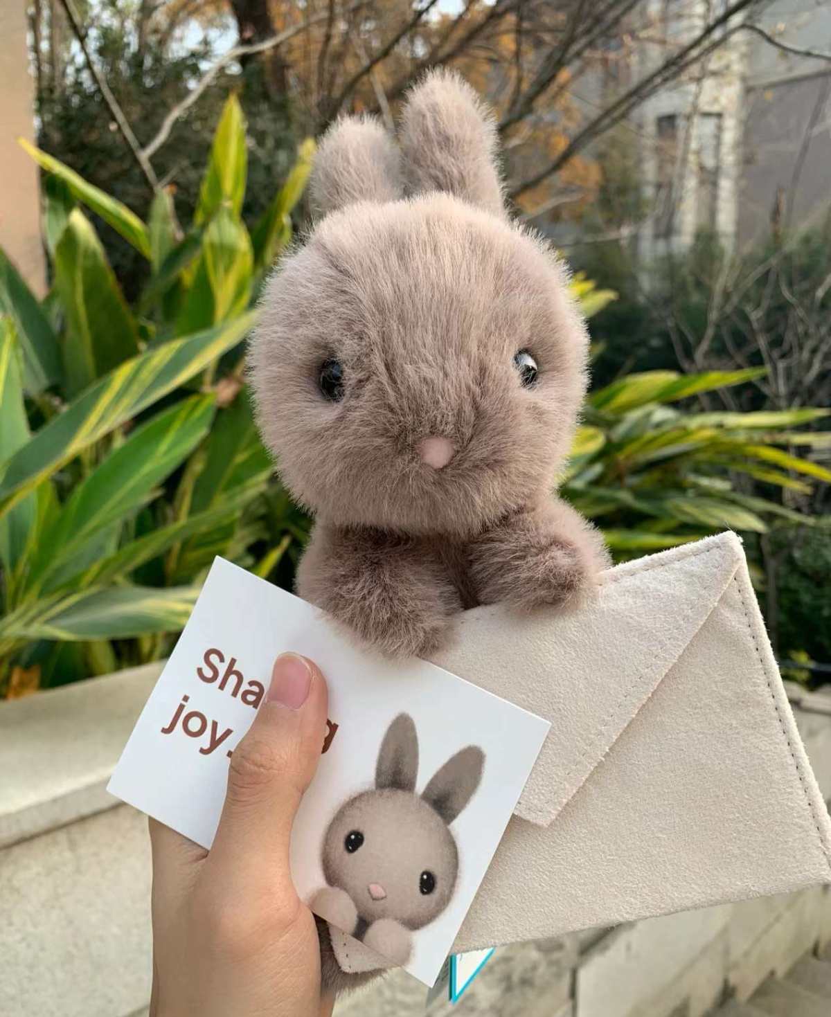 ✅下单网站：jellycat美国官网  ✅价格：银兔20美元
