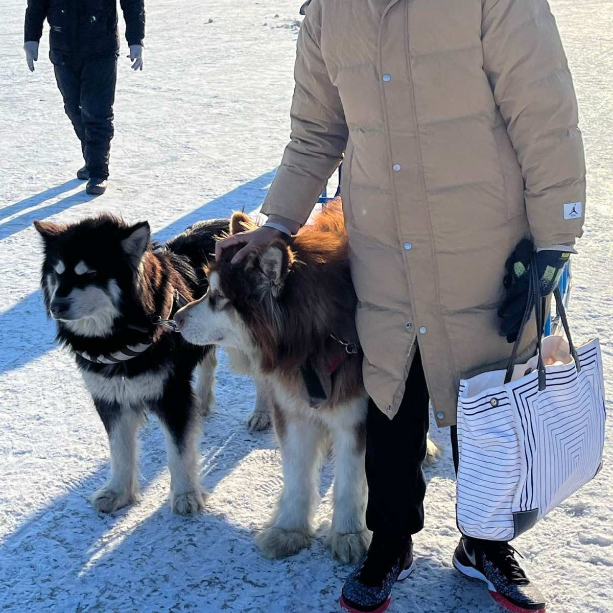 春节出去玩，还好明智的带了一个帆布包 👍1.容量巨大，放了