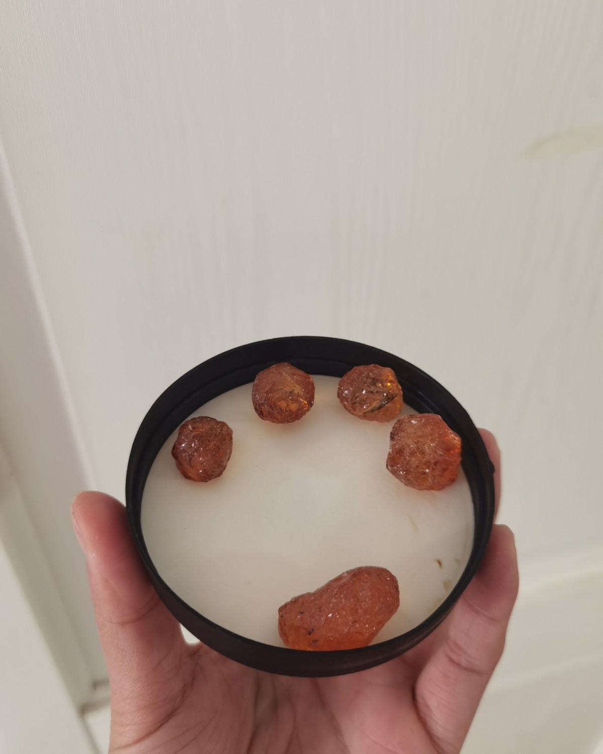 ✅之前看到办公室有人煮这个牛奶桃胶看着不错，我也买点😂 ✅
