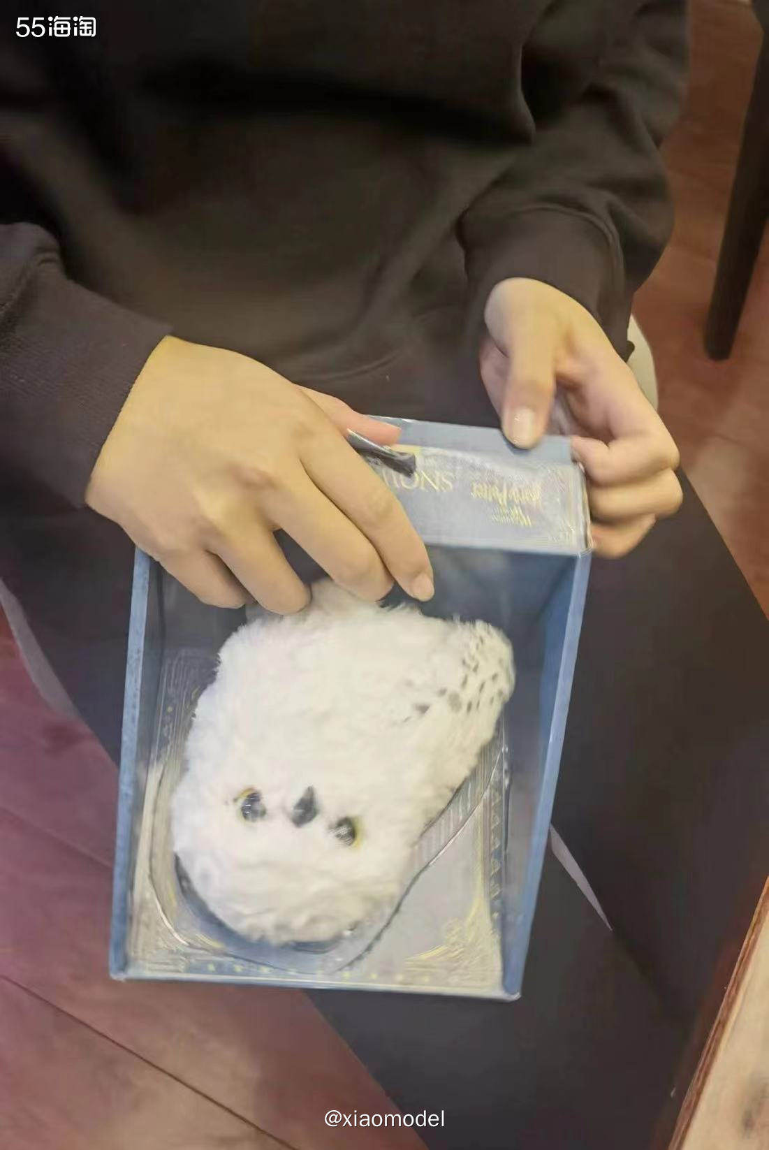 😀前几天我给1个姐姐代下的哈利波特猫头鹰玩偶她收到啦，非常